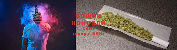 прущие грибы Баксан