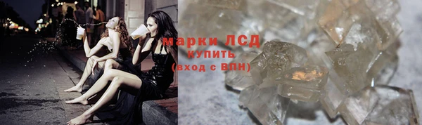 прущие грибы Баксан