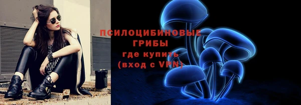 прущие грибы Баксан