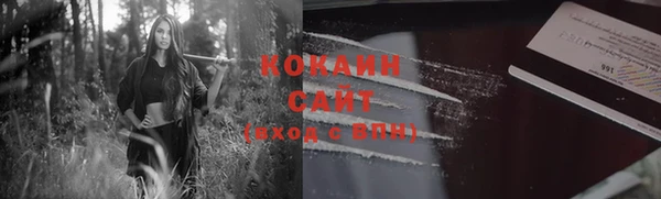 прущие грибы Баксан