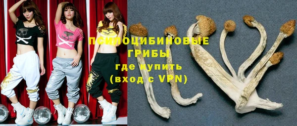 прущие грибы Баксан