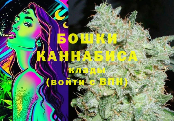 прущие грибы Баксан