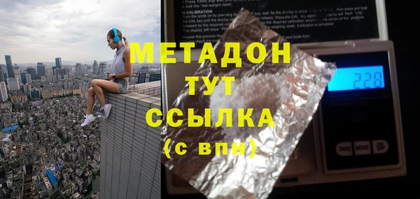 прущие грибы Баксан