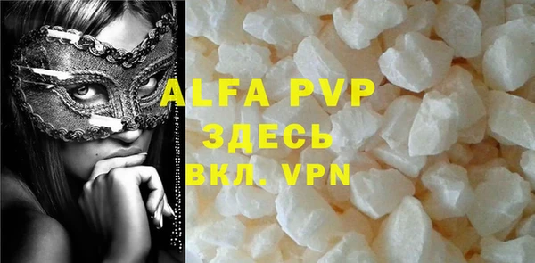 прущие грибы Баксан