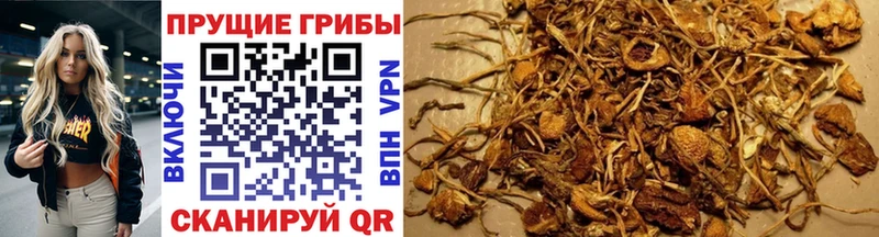 Галлюциногенные грибы MAGIC MUSHROOMS  Вязьма 